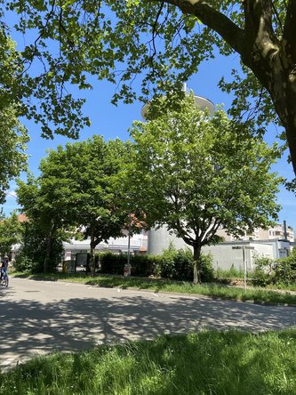 Blick von der bestehenden Blumeninsel zu den drei Spitzahorne vor dem Wasserturm.